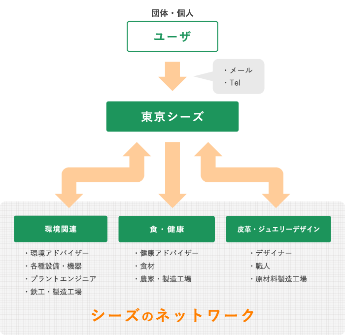 シーズのネットワーク